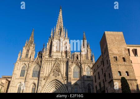 Espagne, Catalogne, Barcelone, Barri Gotic, la cathédrale de Santa Eulalia Banque D'Images