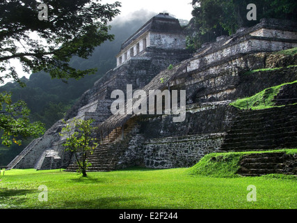 Ruines du temple maya de Palenque au Mexique Banque D'Images