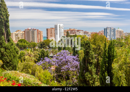 Vue panoramique de Malaga de Gibralfaro, Costa del Sol, Andalousie, Espagne, Europe. Banque D'Images