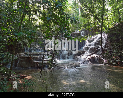 Jungle paysage autour de Palenque, un site archéologique maya au Mexique Banque D'Images