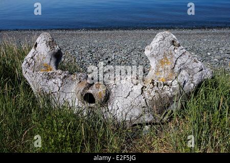 La Russie la Tchoukotka, district autonome des os de baleine l'Île Yttygran Alley de restes de crânes de rey les baleines ou les baleines boréales le long Banque D'Images