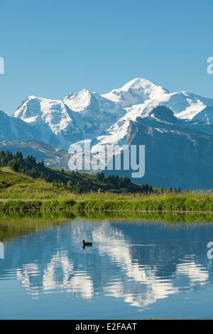 France, Savoie, massif du Haut Giffre, vue sur le Mont Blanc depuis le col de Joux Plane (1691m) Banque D'Images