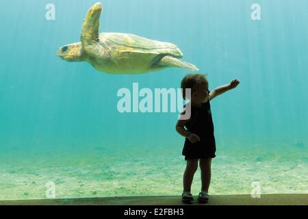 La France l'île de la Réunion (département français d'outre-mer) Saint Leu Kelonia vue horizontale d'une petite fille en face d'une tortue Banque D'Images