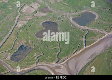 France, Picardie, Baie de Somme, les canaux dans les marais salés et l'étang en forme de coeur (vue aérienne) Banque D'Images