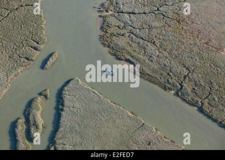 France, Picardie, Baie de Somme, les canaux dans les marais salés (vue aérienne) Banque D'Images