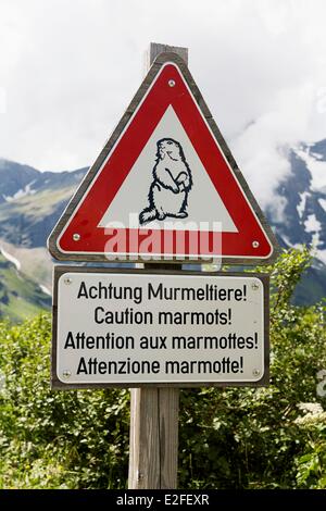 L'Autriche, Pays de Salzbourg, le parc national du Hohe Tauern, la Haute Route alpine du Grossglockner, attention les marmottes de bord Banque D'Images