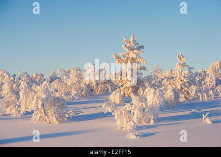 La Norvège, dans le comté de Finnmark, île de Varanger, Berlevag, hiver, nuit polaire Banque D'Images