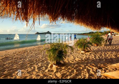 Antilles Caraïbes, des îles du Vent, Sainte-Lucie, île du Nord, Gros Islet, Rodney Bay, plage de Reduit Banque D'Images