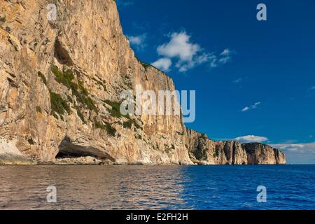 Italie, Sardaigne, province de Nuoro, Parc National de la Baie d'Orosei et du Gennargentu, hautes falaises plongent dans la mer Banque D'Images