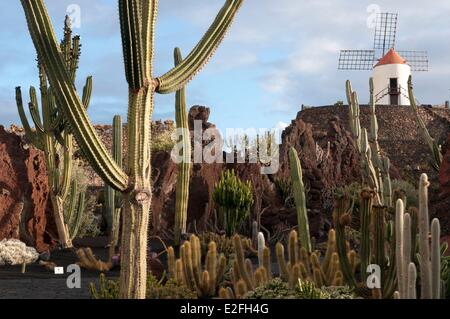 Espagne, Canaries, Lanzarote, l'île de San Juan, le jardin de cactus conçu par Cesar Manrique Banque D'Images