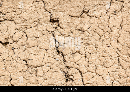 Image d'une partie d'un mur d'argile de Birkat al mud en Oman Banque D'Images