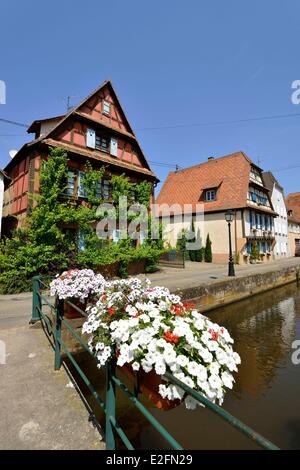 France Bas Rhin Wissembourg Lauter River banks district Bruch Banque D'Images