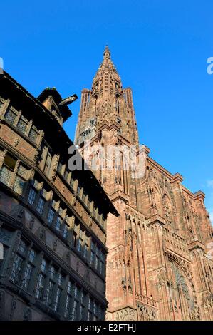 France Bas Rhin Strasbourg vieille ville classée au Patrimoine Mondial de l'UNESCO Place de la cathédrale la Maison Kammerzell construite en Banque D'Images