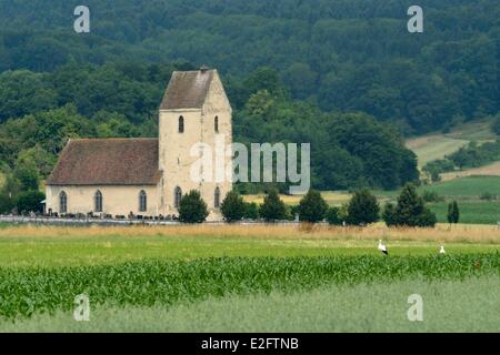 France Haut Rhin Sundgau Fislis Saint-Martin-des-Champs church Banque D'Images