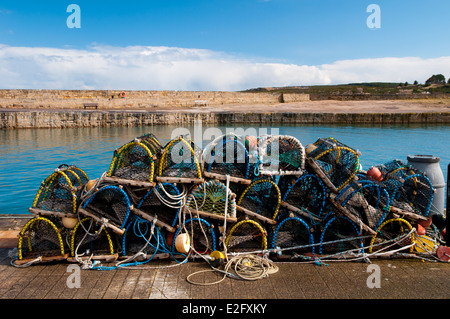 Un tas de couleurs vives des casiers à homard empilés sur le quai dans le port, Morayshire, Hopeman Scotland. Mars. Banque D'Images