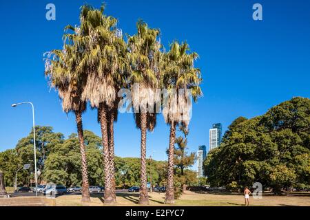 Argentine Buenos Aires Palermo y Casares Avenue Berro avec Plaza derrière Sicilia Banque D'Images