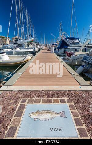 France Var Frejus Port Frejus plate représentant un poisson en face d'un ponton Banque D'Images