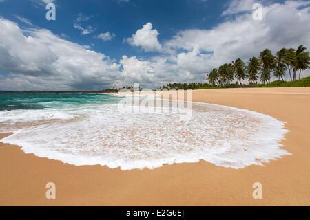 Sri Lanka département du district de Hambantota Marakolliya beach Banque D'Images