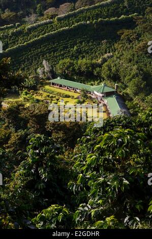 Boquete, Chiriqui province de Panama Finca Lerida plantation de café sur les pentes du Volcan Baru hotel Banque D'Images