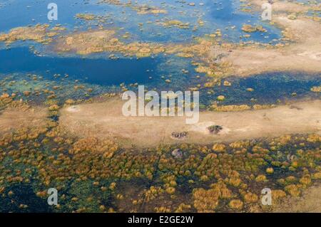 District du Nord-Ouest Botswana Delta de l'Okavango (vue aérienne) Banque D'Images