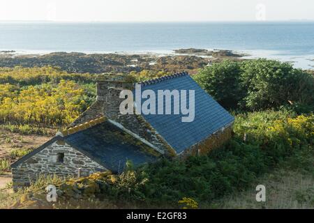 France Finistère Le Conquet sur la mer ferme sur l'île de Quemenes en archipel de Molene Banque D'Images