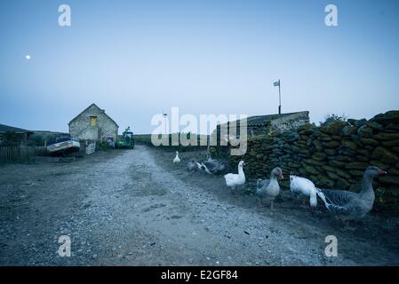 France Finistère Le Conquet ferme sur l'île de Quemenes en archipel de Molene Banque D'Images