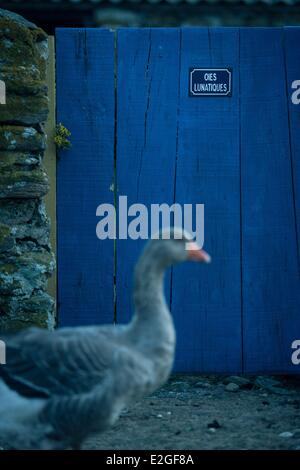 France Finistère Le Conquet ferme sur l'île de Quemenes en archipel de Molene Banque D'Images