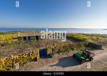 France Finistère Le Conquet ferme sur l'île de Quemenes en archipel de Molene Banque D'Images