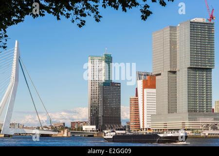 Rotterdam Pays-Bas Hollande-du-Sud, le long de Southbank avec Nouvelle Meuse bâtiment droite conçu par l'architecte néerlandais Rem Koolhaas (OMA) nommé de Rotterdam (2014) et de Maastoren bâtiment et pont Erasmus (Erasmusbrug) 1996 Banque D'Images