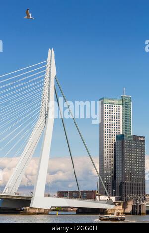 Pays-bas Hollande du Sud Pont Erasmus Rotterdam Southbank (Erasmusbrug) conçu par Ben van Berkel et Caroline Bos sur Nouvelle Meuse inauguré en 1996 et du bâtiment écologique Maastoren (165 mètres) plus haut en pays conçu par Dam & Partners et Odile Decq Banque D'Images