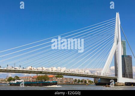 Pays-bas Hollande du Sud Pont Erasmus de Rotterdam (Erasmusbrug) conçu par Ben van Berkel et Caroline Bos sur Nouvelle Meuse inauguré en 1996 Banque D'Images