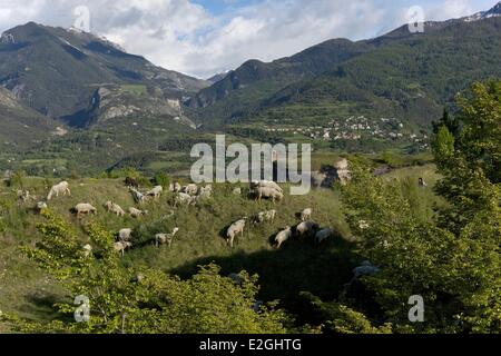 France Hautes Alpes Mont Dauphin château construit par Vauban en 1693, inscrite au Patrimoine Mondial de l'UNESCO Banque D'Images