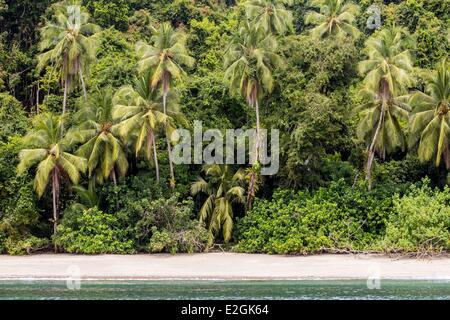 Veraguas Panama province golfe de Chiriqui Parc national de Coiba de classé au Patrimoine Mondial par l'UNESCO depuis 2005 l'île Rancheria plage bordée de palmiers Banque D'Images