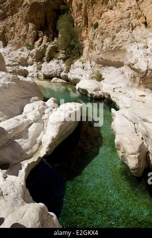 Sultanat d'Oman Frêne région Sharqiyyah Wadi Bani Khalid grooves Banque D'Images