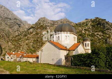 Côte Adriatique du Monténégro Kotor bay vieille ville de Kotor, classée au Patrimoine Mondial de l'UNESCO Banque D'Images