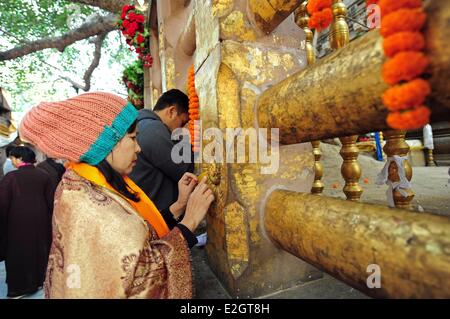 L'Inde dans l'état du Bihar Bodhgaya inscrite au Patrimoine Mondial de l'UNESCO (complexe du Temple de la Mahabodhi Temple Grand Réveil) temple bouddhiste où Siddhartha Gautama Bouddha atteint l'illumination personnes priant devant le Banyan arbre sacré Banque D'Images