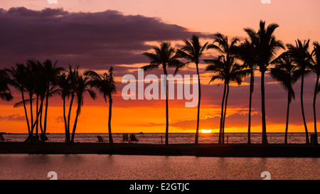 Coucher du soleil par la silhouette du Palms à Anaehoomalu Bay, Kohala Coast, La Grande Île, New York USA Banque D'Images