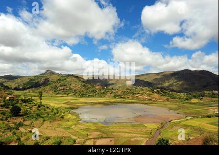 Madagascar Région de Menabe Betafo vue sur plaine verte plein de rizières Banque D'Images