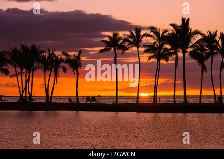 Coucher du soleil par la silhouette du Palms à Anaehoomalu Bay, Kohala Coast, La Grande Île, New York USA Banque D'Images