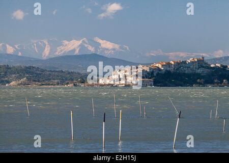 France Aude Bages village parc naturel des étangs de Narbonaise et mer Méditerranée avec le Mont Canigou (2784 m) en arrière-plan Banque D'Images