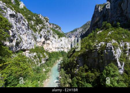 France Alpes de Haute Provence Var Parc Naturel Régional du Verdon (Parc Naturel Régional du Verdon) La Palud sur Verdon Aiguines Gorges du Verdon Grand Canyon du Verdon l'eau bleu turquoise sur sentier de randonnée La Tremblade Banque D'Images