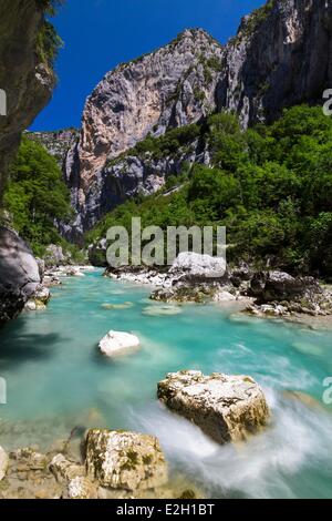 France Alpes de Haute Provence Var Parc Naturel Régional du Verdon (Parc Naturel Régional du Verdon) La Palud sur Verdon Aiguines Gorges du Verdon Grand Canyon du Verdon l'eau bleu turquoise sur sentier de randonnée La Tremblade Banque D'Images