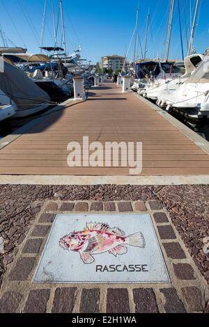 France Var Frejus Port Frejus plate représentant un poisson en face d'un ponton Banque D'Images