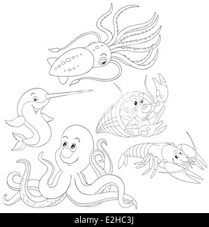 Le poulpe, crawfishes, narval et le calmar, en noir et blanc indiquant vector illustrations pour un livre de coloriage Banque D'Images