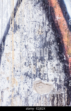 Gaffiti libre dans un mur de béton endommagé Banque D'Images