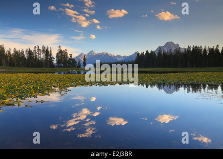 Beau ciel d'été reflétée dans étang près de Heron Bay coutre à Grand Teton National Park, Wyoming Banque D'Images