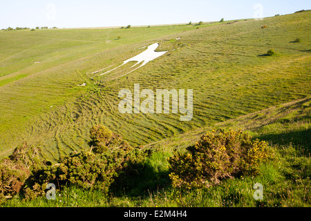 Cheval blanc figure sculptée dans l'escarpement de craie pente à Alton Barnes, Wiltshire, Angleterre Banque D'Images