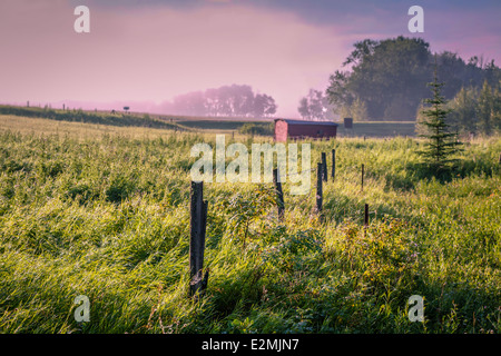 Le brouillard briser comme le soleil du matin brille sur les terres agricoles de l'Alberta. Banque D'Images