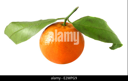 Belle mandarine avec des feuilles sur fond blanc Banque D'Images