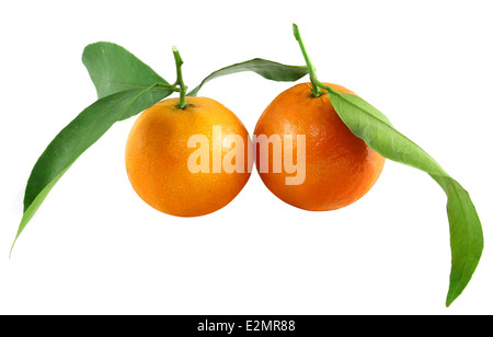 Belle mandarine avec des feuilles sur fond blanc Banque D'Images